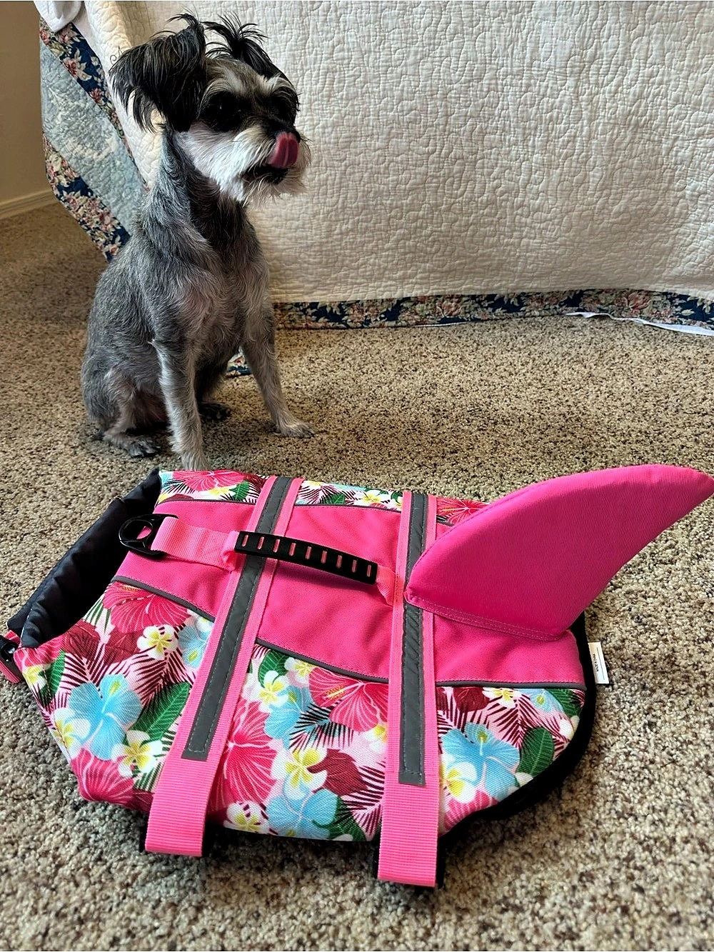 Dog Life Jacket with shark fin in Pink Hawaiian floral size L